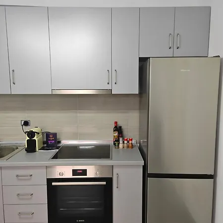 Apartman Vasil Gjika 3 *